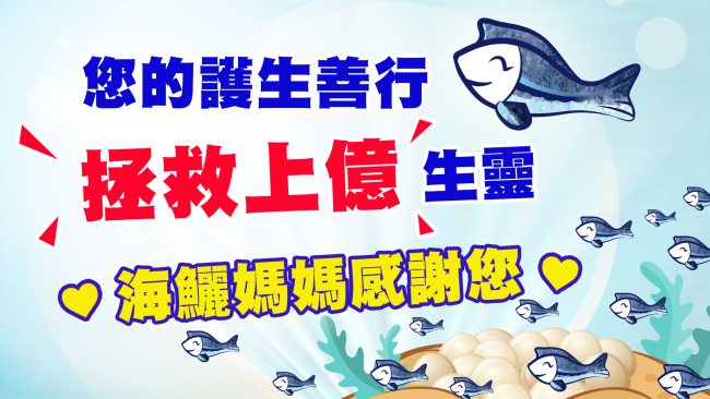 搶救懷孕的海鱺媽媽