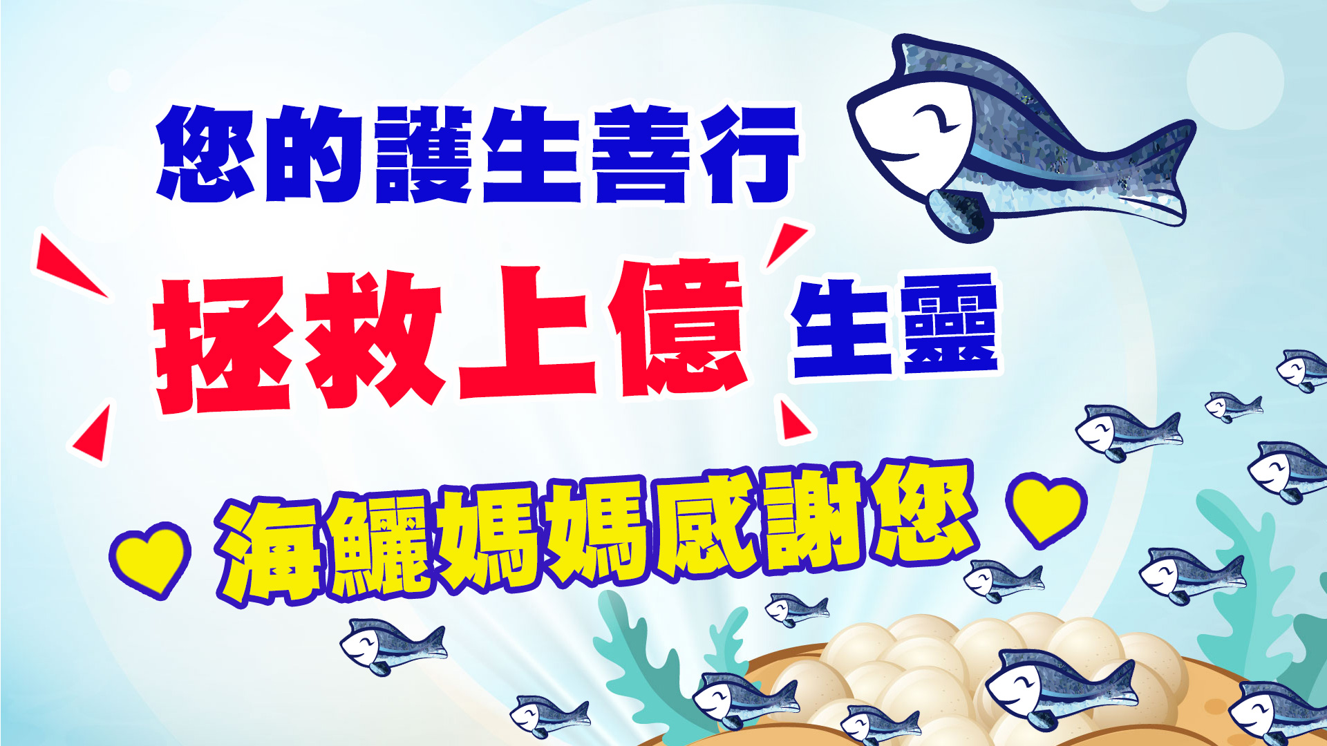 縮圖 搶救懷孕的海鱺媽媽