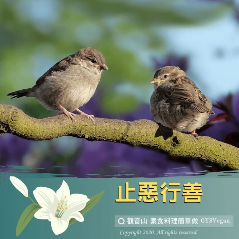 【動物友善】止惡行善