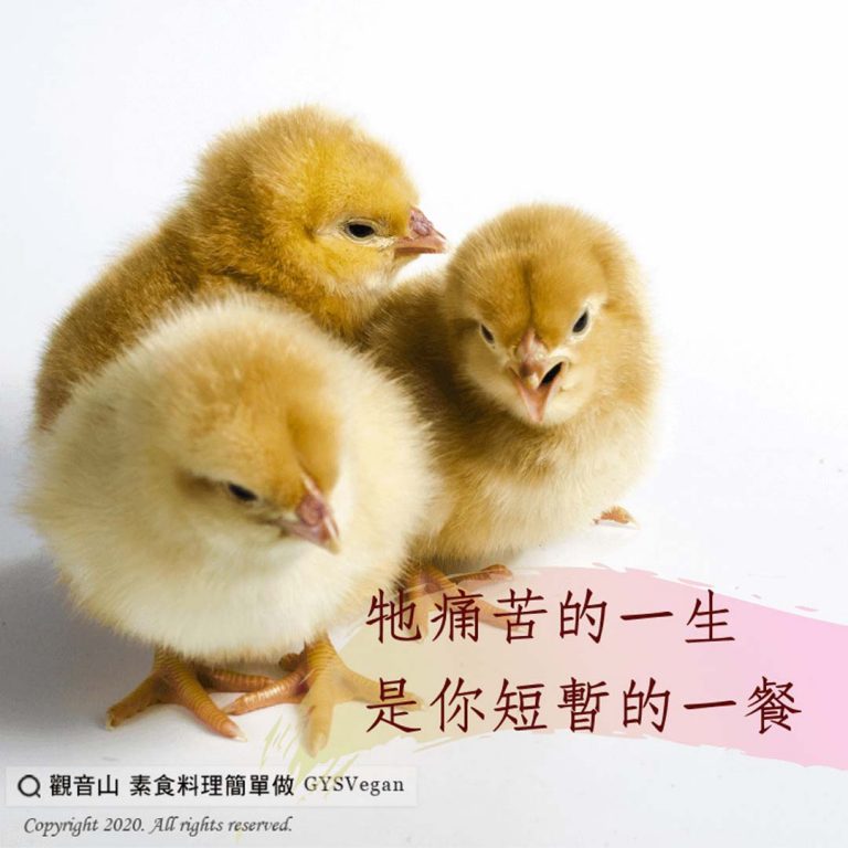 戒殺護生_龍德上師