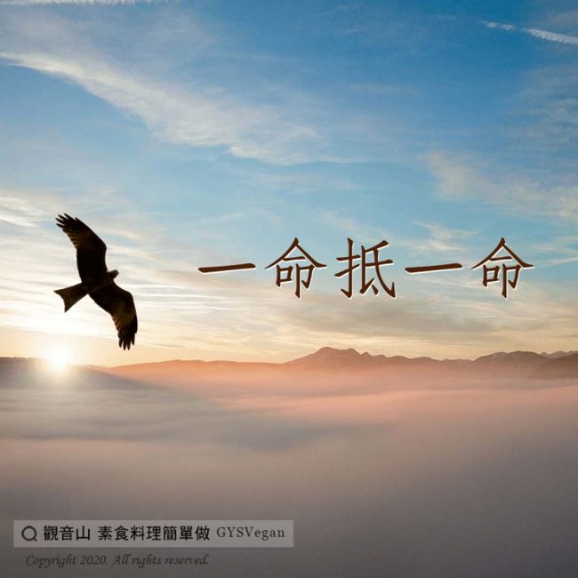 因果報應_觀音山蔬食館_龍德上師