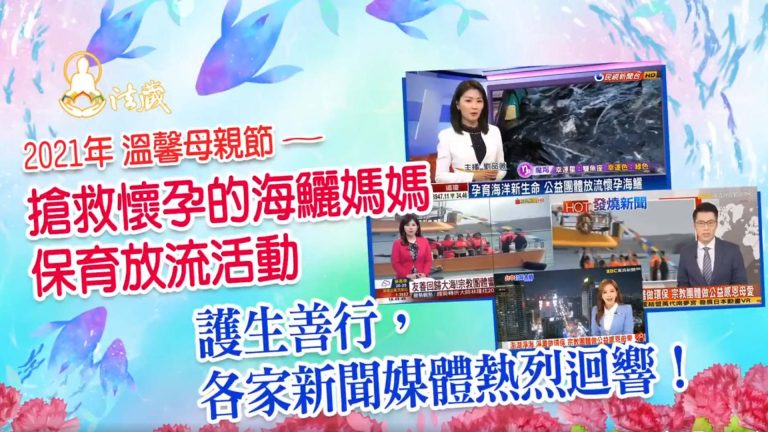 搶救懷孕的海鱺媽媽─感恩東森、民視、非凡等各大新聞媒體與報章雜誌熱烈報導！