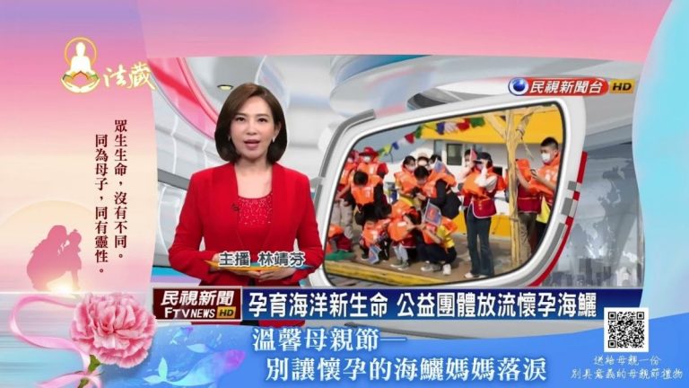 【民視新聞林靖芬主播】孕育海洋新生命