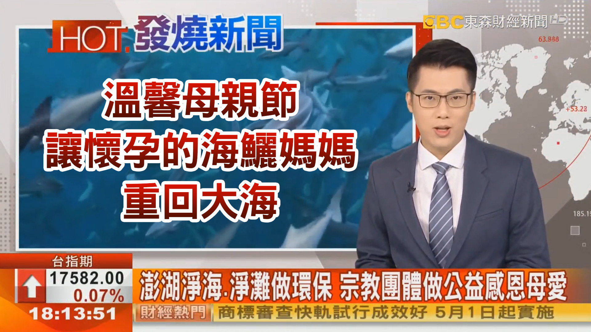 東森財經_縮圖 海鱺媽媽