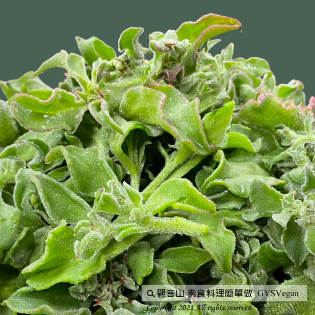 Penghu Ice Plant #素海味料理✨ 澎湖冰花✨全素?