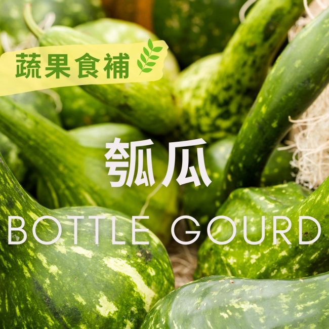 【 #蔬果食補】 瓠瓜(Bottle gourd)