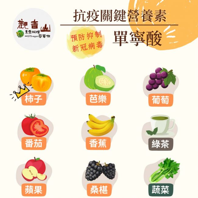 ?防疫新生活｜抗疫關鍵-必備營養素 ​