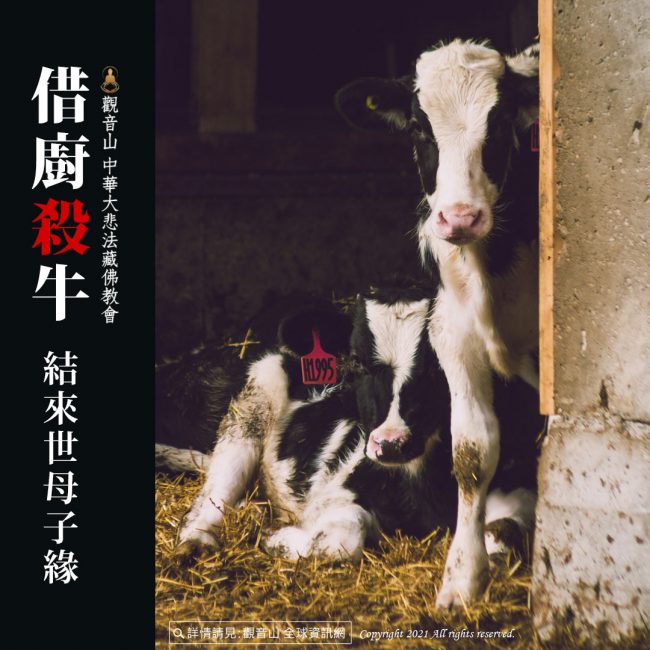 借廚殺牛──結來世母子緣