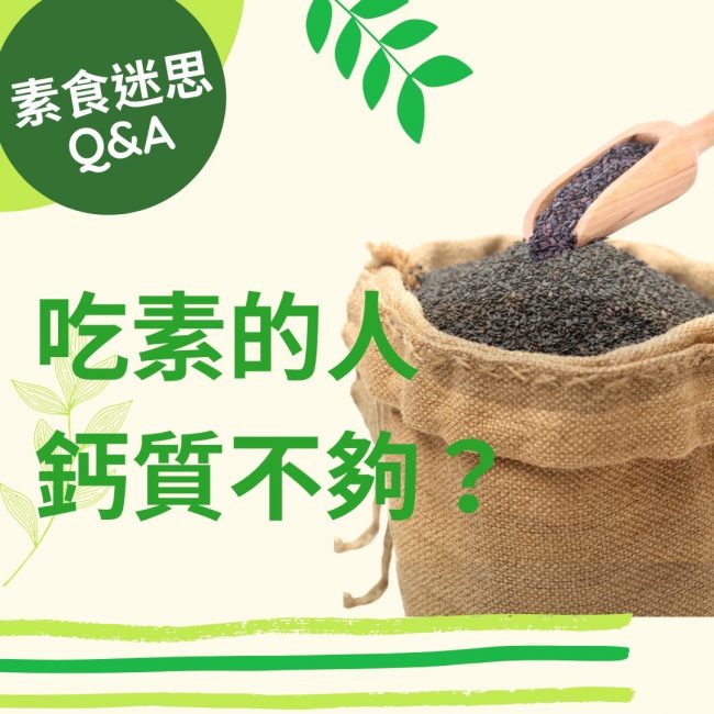 【素食迷思Q＆A】吃素的人鈣質不夠?｜ 觀音山素食料理簡單做｜龍德上師