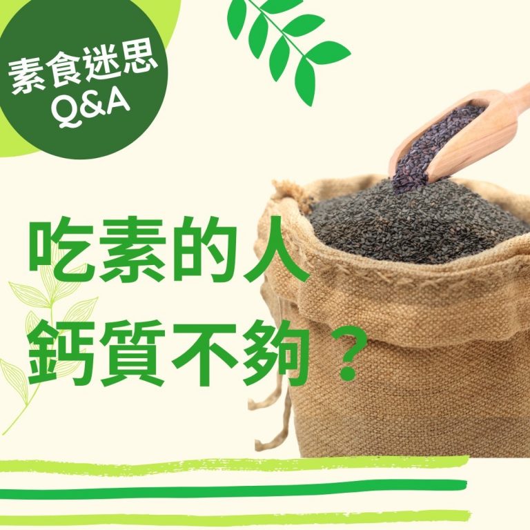 【素食迷思Q＆A】吃素的人鈣質不夠?｜ 觀音山素食料理簡單做｜龍德上師