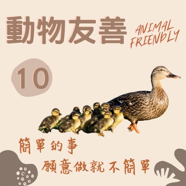 【動物友善】轉移浩劫的運動 — 慈悲護生​