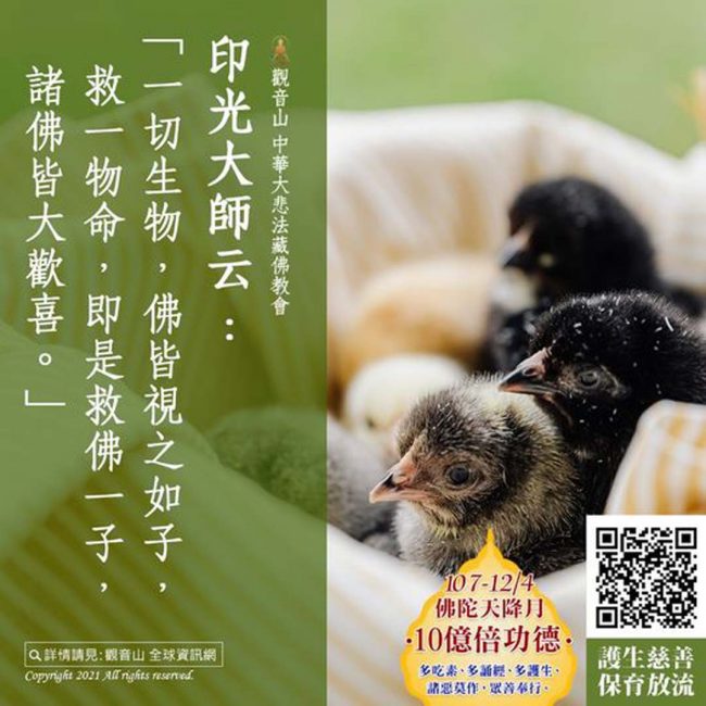 印光大師云一切生物佛皆視之如子救一物命即是救佛一子諸佛皆大歡喜