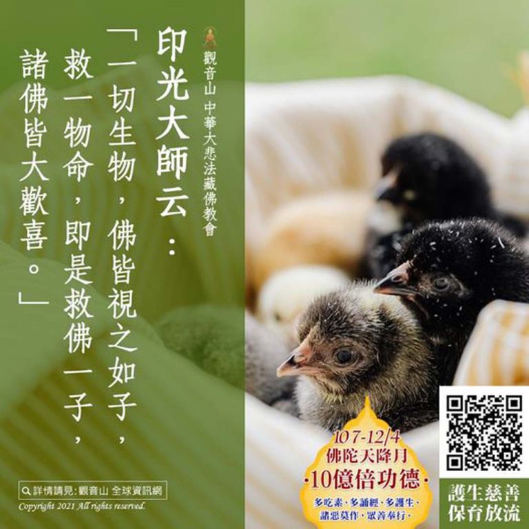 印光大師云一切生物佛皆視之如子救一物命即是救佛一子諸佛皆大歡喜