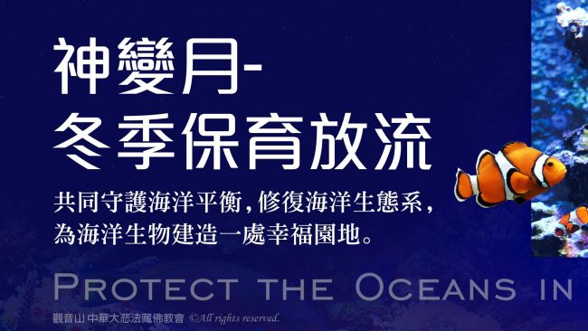 觀音山 2022神變月──冬季保育放流