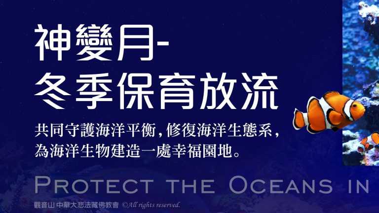觀音山 2022神變月──冬季保育放流