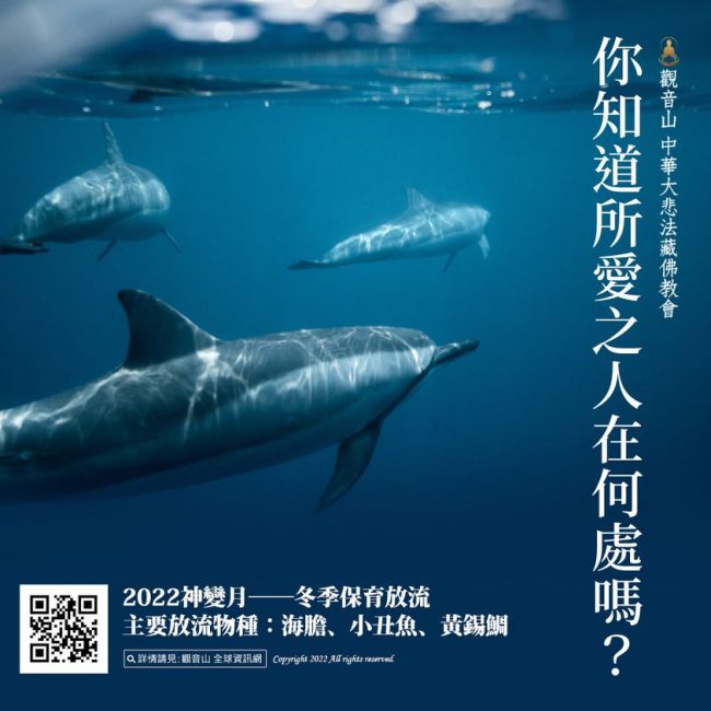 【你知道所愛之人在何處嗎？】