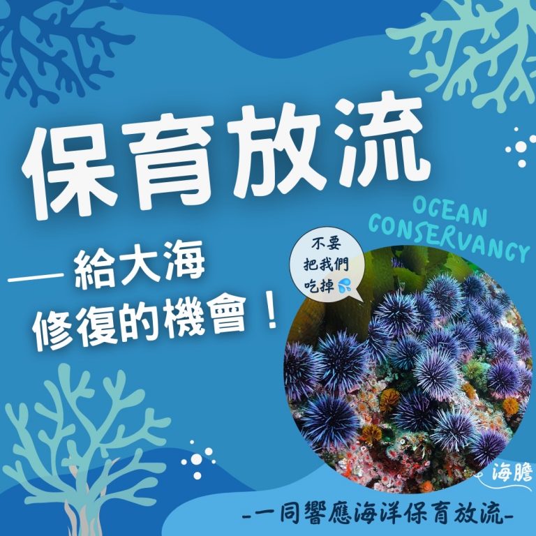 保育放流—給大海修復的機會！｜海膽篇​｜觀音山蔬食館｜龍德上師