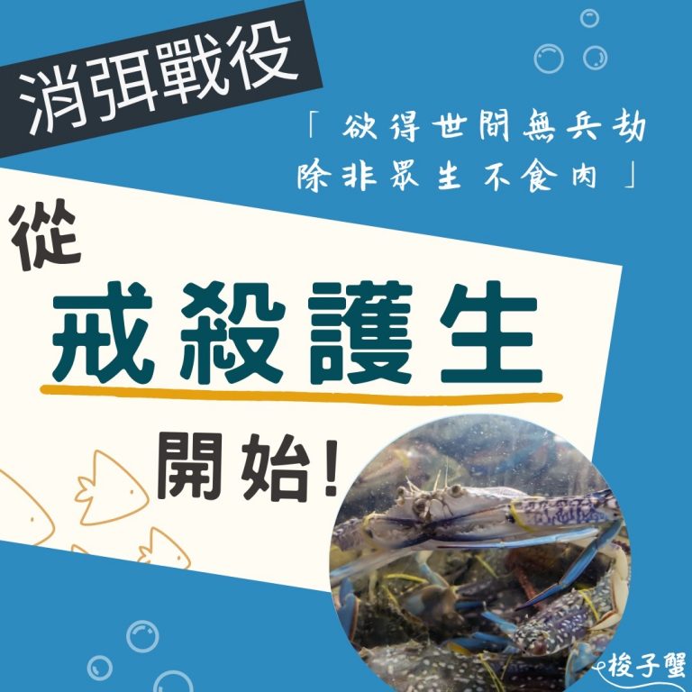 消弭戰役，從戒殺護生開始！｜海洋保育放流​｜觀音山蔬食館｜龍德上師​
