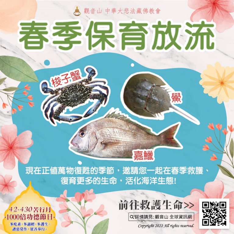 【? #春季保育放流 】搶救梭子蟹、鱟、嘉鱲