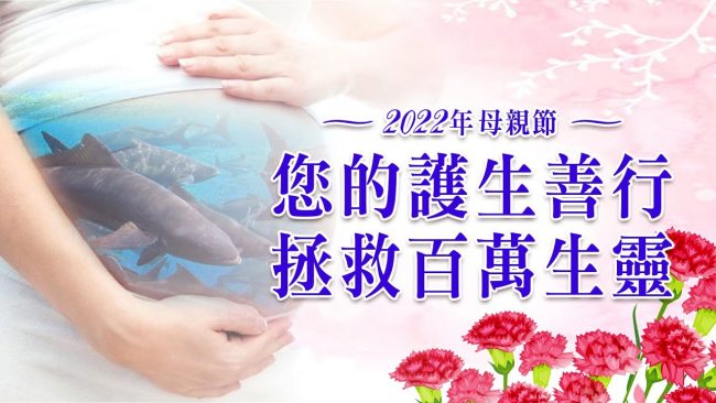 【溫馨母親節】2022母親節 搶救懷孕的海鱺媽媽 系列活動