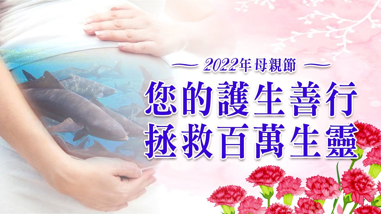 【溫馨母親節】2022母親節 搶救懷孕的海鱺媽媽 系列活動